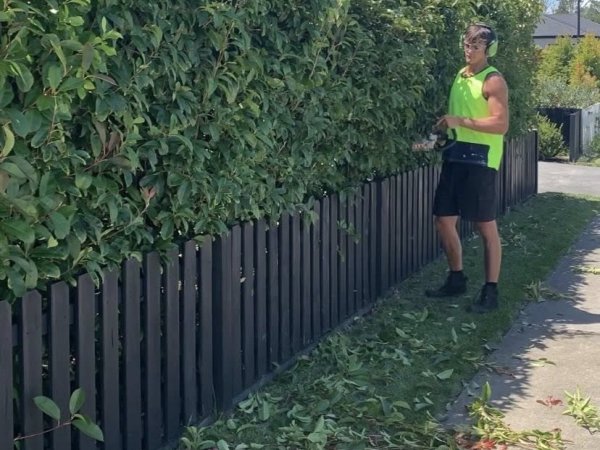 Garden maintenance result in a tidy outdoor space