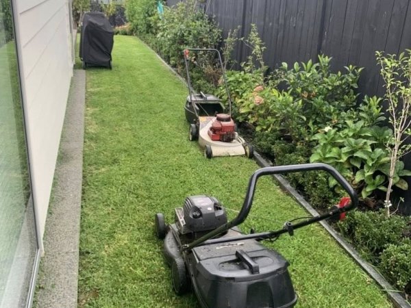 Maintained garden and hedge area
