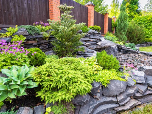Garden maintenance work in a Torbay garden