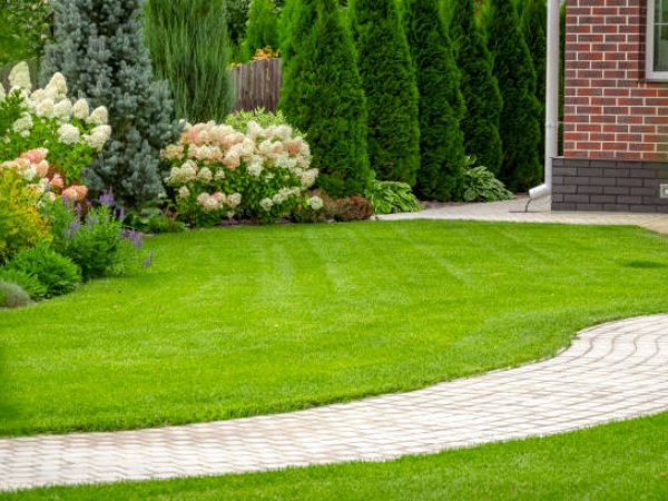 Lawn mowing work in a Torbay garden